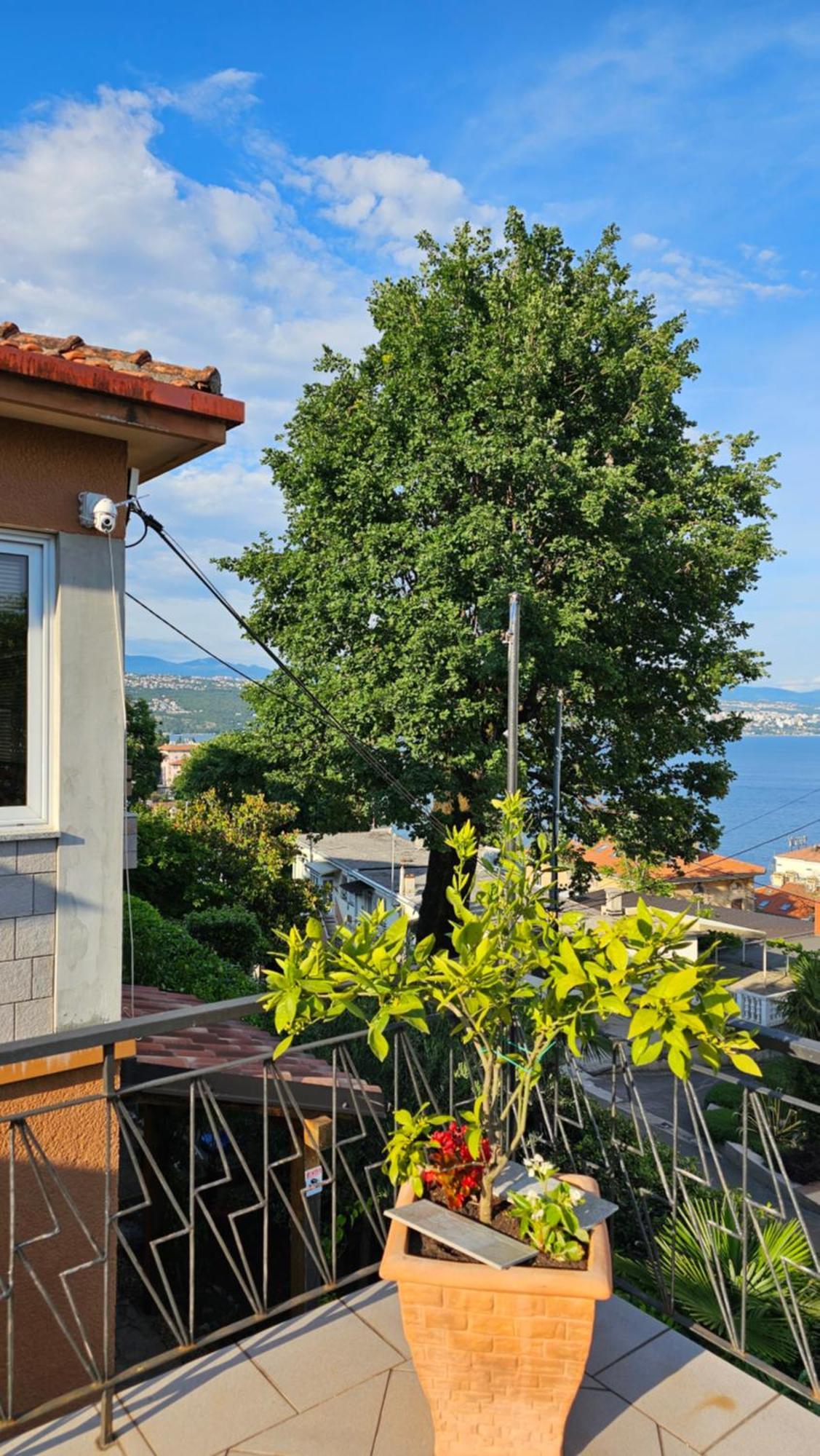 Elvira Apartman Abbázia Kültér fotó